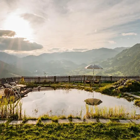 Hotel Alpendorf Stern 3*