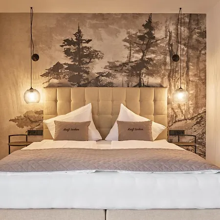 Alpendorf Stern Sankt Johann im Pongau